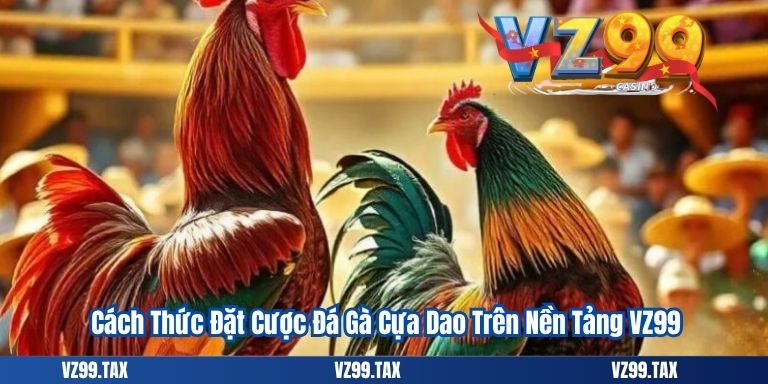 Cách Thức Đặt Cược Đá Gà Cựa Dao Trên Nền Tảng VZ99