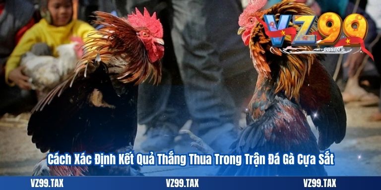 Cách Xác Định Kết Quả Thắng Thua Trong Trận Đá Gà Cựa Sắt
