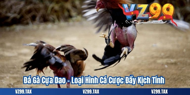 Đá Gà Cựa Dao – Loại Hình Cá Cược Đầy Kịch Tính