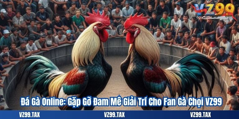Đá Gà Online: Gặp Gỡ Đam Mê Giải Trí Cho Fan Gà Chọi VZ99
