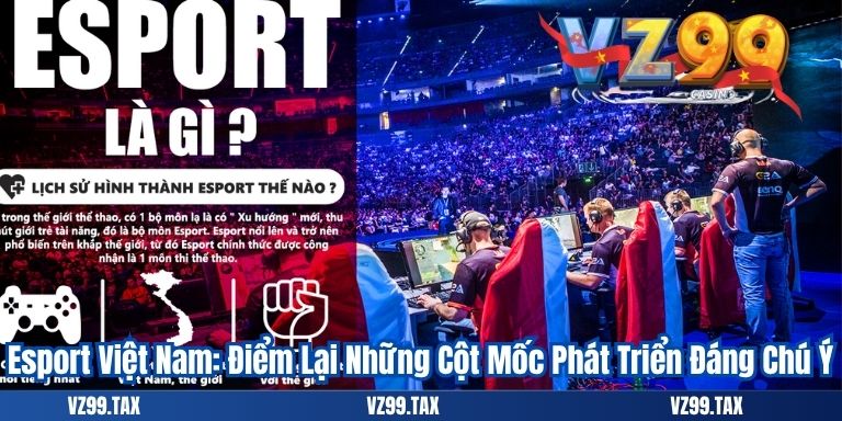 Esport Việt Nam: Điểm Lại Những Cột Mốc Phát Triển Đáng Chú Ý