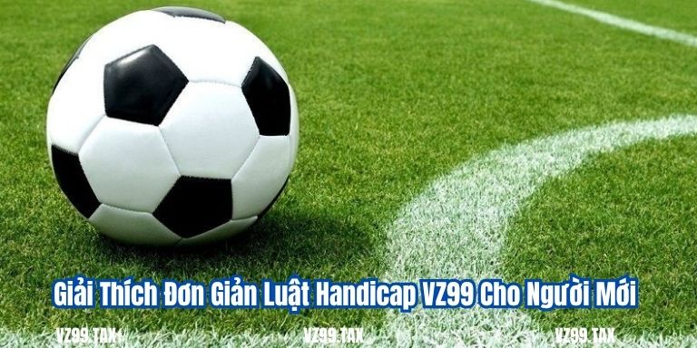 Giải Thích Đơn Giản Luật Handicap VZ99 Cho Người Mới