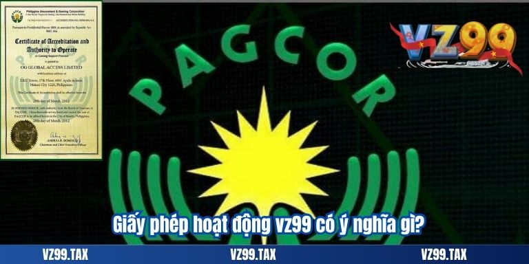 Giấy phép hoạt động vz99 có ý nghĩa gì?