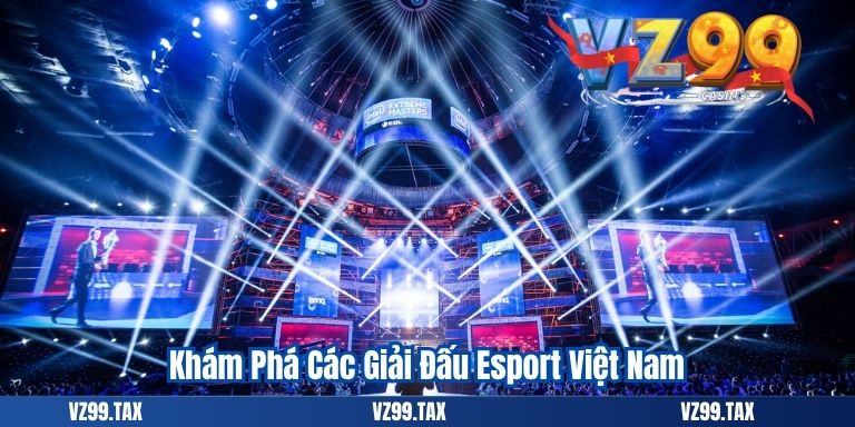 Khám Phá Các Giải Đấu Esport Việt Nam