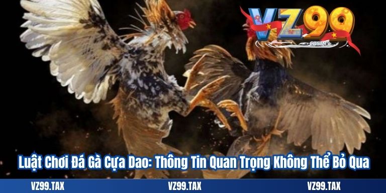 Luật Chơi Đá Gà Cựa Dao: Thông Tin Quan Trọng Không Thể Bỏ Qua