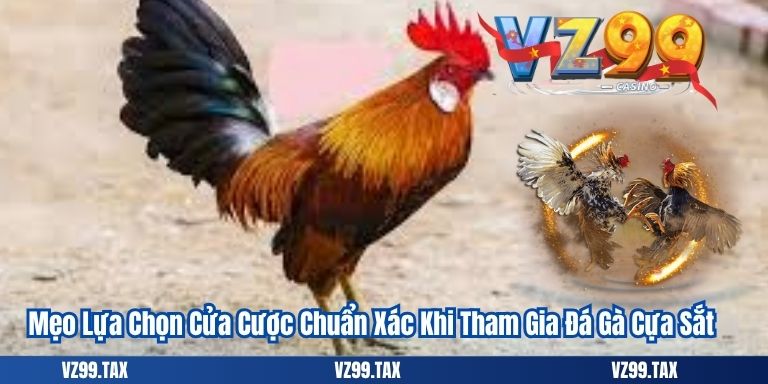 Mẹo Lựa Chọn Cửa Cược Chuẩn Xác Khi Tham Gia Đá Gà Cựa Sắt