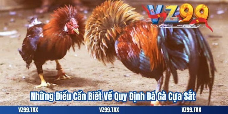 Những Điều Cần Biết Về Quy Định Đá Gà Cựa Sắt