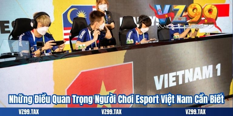Những Điều Quan Trọng Người Chơi Esport Việt Nam Cần Biết