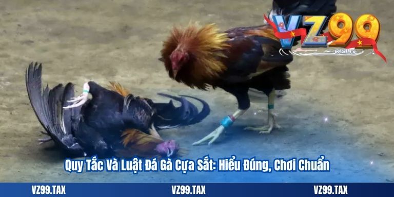 Quy Tắc Và Luật Đá Gà Cựa Sắt: Hiểu Đúng, Chơi Chuẩn