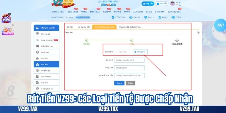 Rút Tiền VZ99: Các Loại Tiền Tệ Được Chấp Nhận