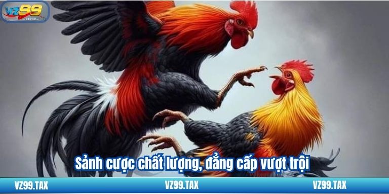 Sảnh cược chất lượng, đẳng cấp vượt trội