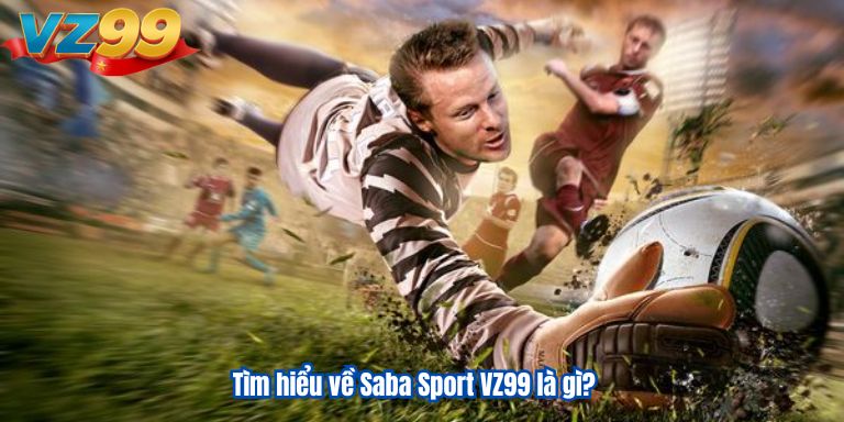 Tìm hiểu về Saba Sport VZ99 là gì?