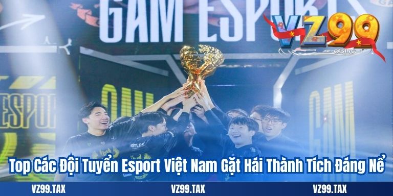Top Các Đội Tuyển Esport Việt Nam Gặt Hái Thành Tích Đáng Nể