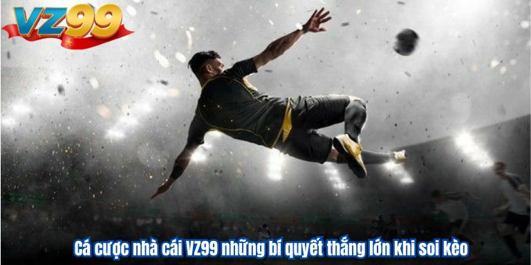 Cá cược nhà cái VZ99 những bí quyết thắng lớn khi soi kèo