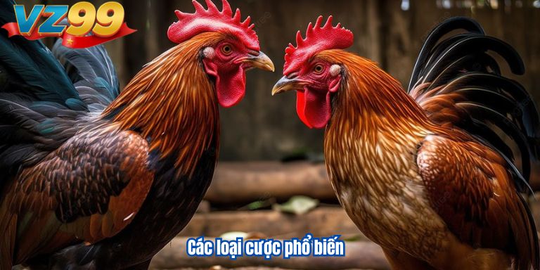 Các loại cược phổ biến